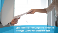 Две недели до конца приема заявок на конкурс СОНКО Хабаровского края  