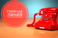 Горячая линия!