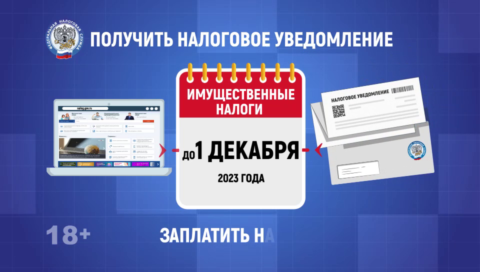 Уплата имущественных налогов физическими лицами в 2023 году