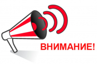 Профессиональное обучение и дополнительное профессиональное образование отдельных категорий граждан в рамках федерального  проекта 