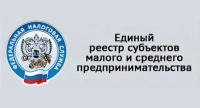 Формирование Единого реестра субъектов МСП